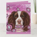Search for springer spaniel christmas cards Spaniels