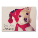 Recherche de studio chapeaux Chien