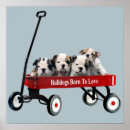 Search for bullis posters Puppy