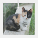 Search for funny animal ornaments Cats
