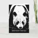 Search for panda bear birthday cards Wild