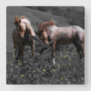 Recherche de stallion posters Pays