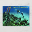 Search for diving postcards Under the sea