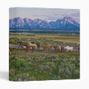 Search for walking binders Horse