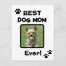 Recherche de chiens mignons cartes postales Amoureux des animaux
