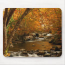 Search for smoky mountains mousepads Fall