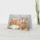 Search for corgi puppy birthday cards Queen's dog