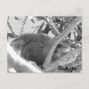 Search for queensland cards Tree