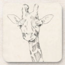 Search for portrait coasters Safari