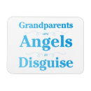 Search for nonna magnets Abuelo