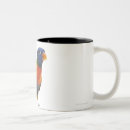 Search for rainbow lorikeet mugs Birds