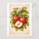 Recherche de vin rouge cartes postales Vintage
