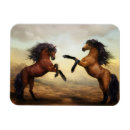 Recherche de équin magnets Chevaux