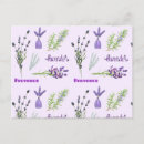 Search for summer birthday cards Purple