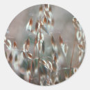 Search for ripe stickers Nature