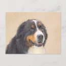 Search for mountain dog postcards Cute
