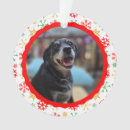 Search for mailman ornaments Thank you