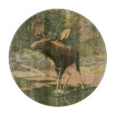 Recherche de cerfs communs planches à découper Chasse