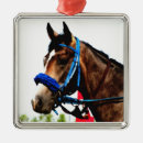 Search for racing ornaments Horse