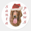 Search for irish setter stickers Animals