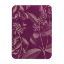 Recherche de orchidée magnets Botanique