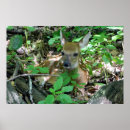 Recherche de faon de cerfs communs art Nature