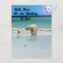 Search for meets postcards Dog