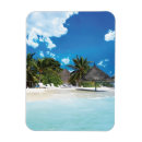 Recherche de plages magnets Palmiers