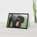 Search for wife 50th birthday cards Photography