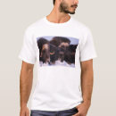 Search for coastal plains clothing Fauna