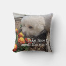 Recherche de bichon décoration coussins Toute personne