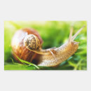 Recherche de limaces autocollants Escargot