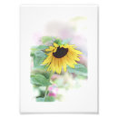Search for bash posters Flowers