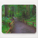 Search for muir woods mousepads California