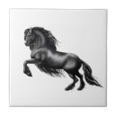 Recherche de poney de carreaux Poulain