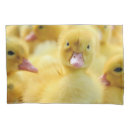 Search for duck pillowcases Animal