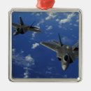 Search for guam ornaments F 22