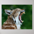Recherche de bâillon posters Animal