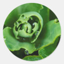 Search for water plant stickers Botanical