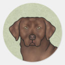 Recherche de chocolate lab stickers Dog