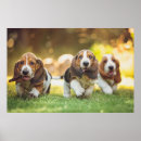 Search for basset hound art Puppy