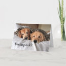 Recherche de golden retriever get well cards Se sentir mieux