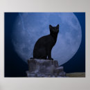 Recherche de assis posters Nuit