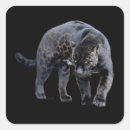 Search for black jaguar stickers Leopard