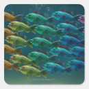Search for black bass stickers Animal