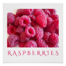 Search for raspberry art Raspberries