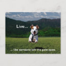 Recherche de live cartes postales Vivre