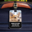Search for corgi luggage tags Puppy