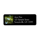 Search for bamboo return address labels Nature