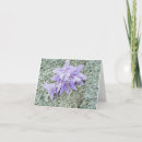 Recherche de pistil Flore